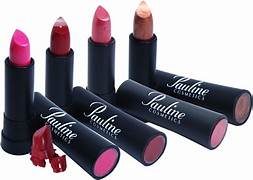 Liquid Matte Lipstick Set (5 Shades)